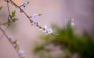<b>˯滤 ʳӻ˥</b>