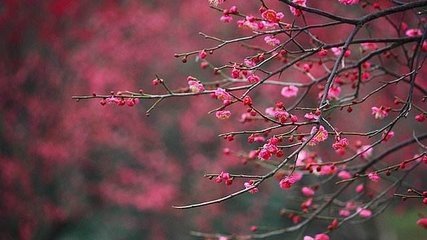 <b>紺 </b>
