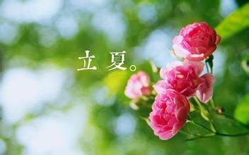 <b>ԣ࣢ ŭ˯ã</b>