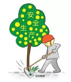 <b>ɽľʯ˴ǿʩץʵ鱣١ȡóЧ</b>