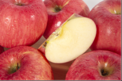 <b>Ʒ KAIDA APPLEԴ崨л̬԰ԭ֭ԭζԭ̬</b>